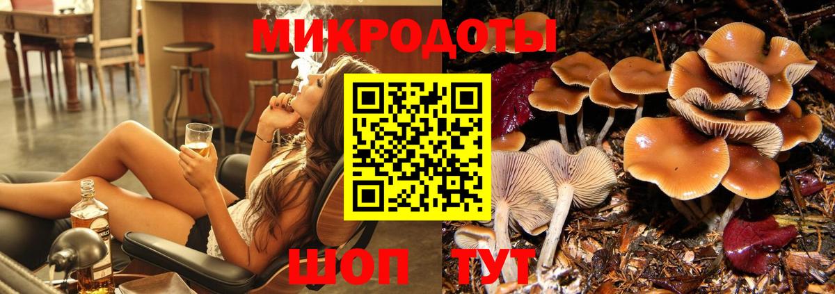 Псилоцибиновые грибы мицелий  Вход с VPN  Черняховск 