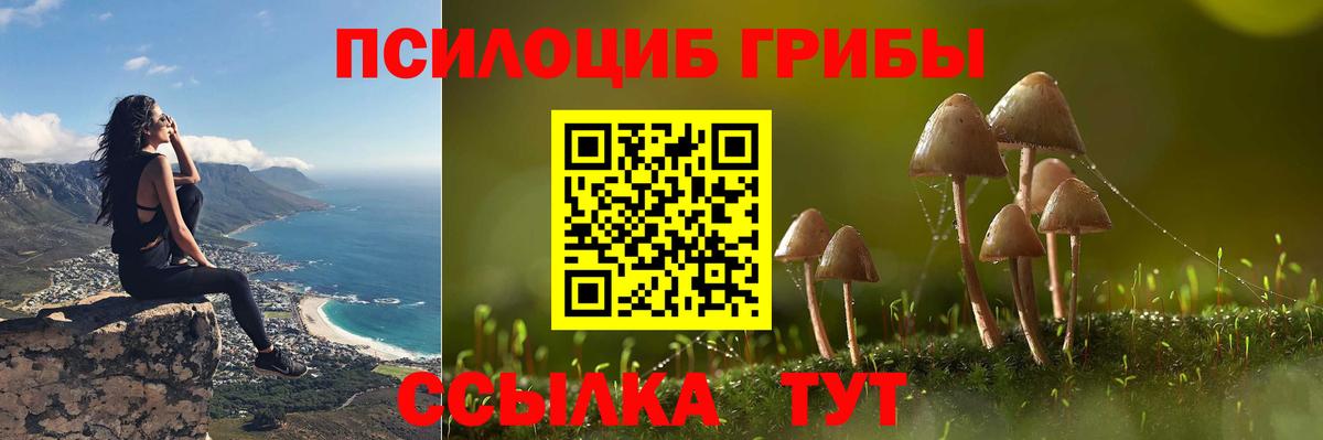 Галлюциногенные грибы Magic Shrooms Черняховск